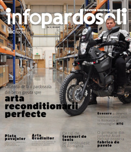 FireShot Capture - Revista InfoPardoseli nr. 2 - http___revista.ibcfocus.ro_infopardoseli-2_